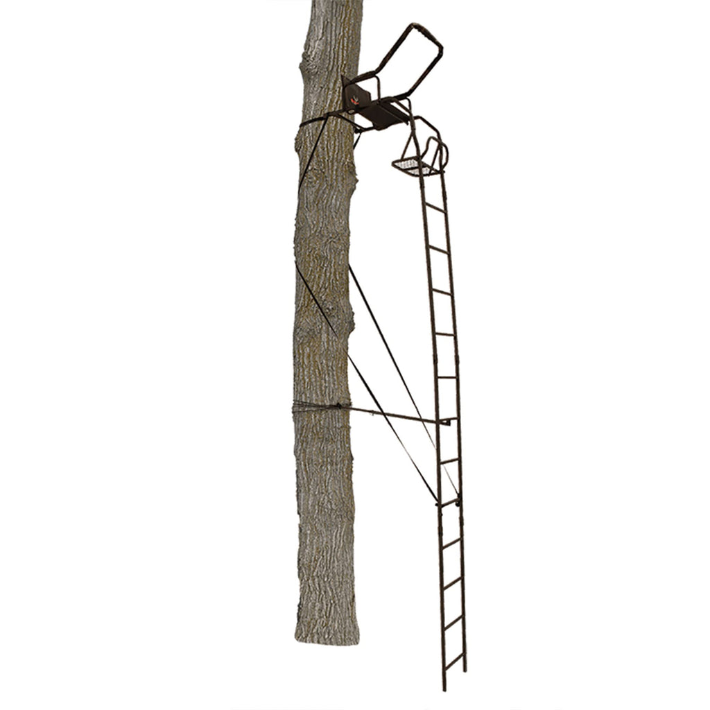 Ladder Tree Stand B642991