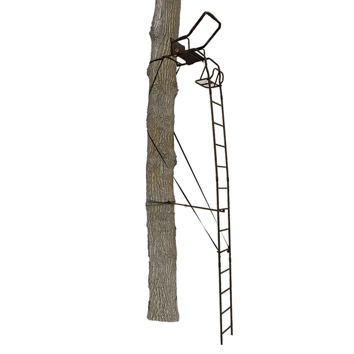 Ladder Tree Stand B642991