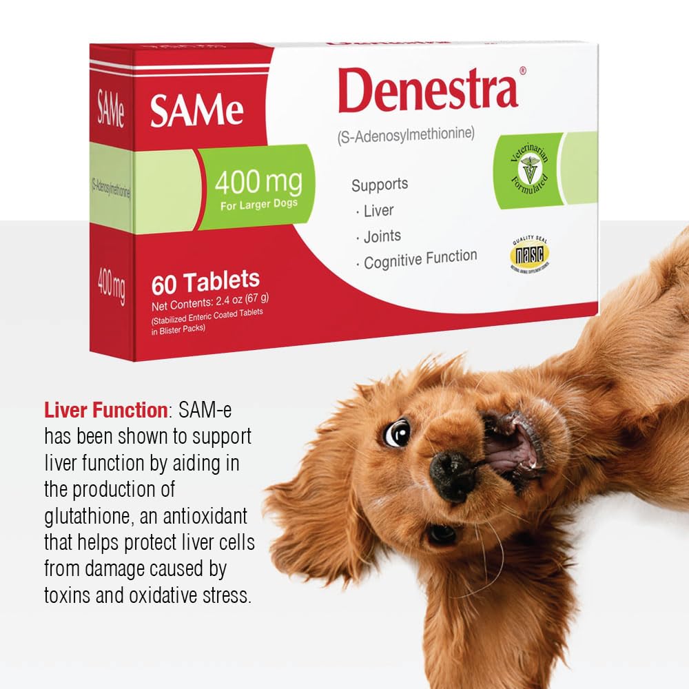 Same for Dogs 200 mg 60 Tablets N313817