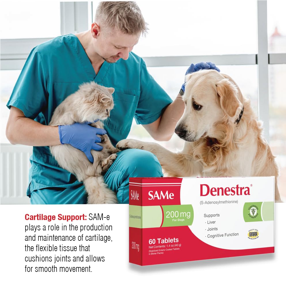 Same for Dogs 200 mg 60 Tablets N313817