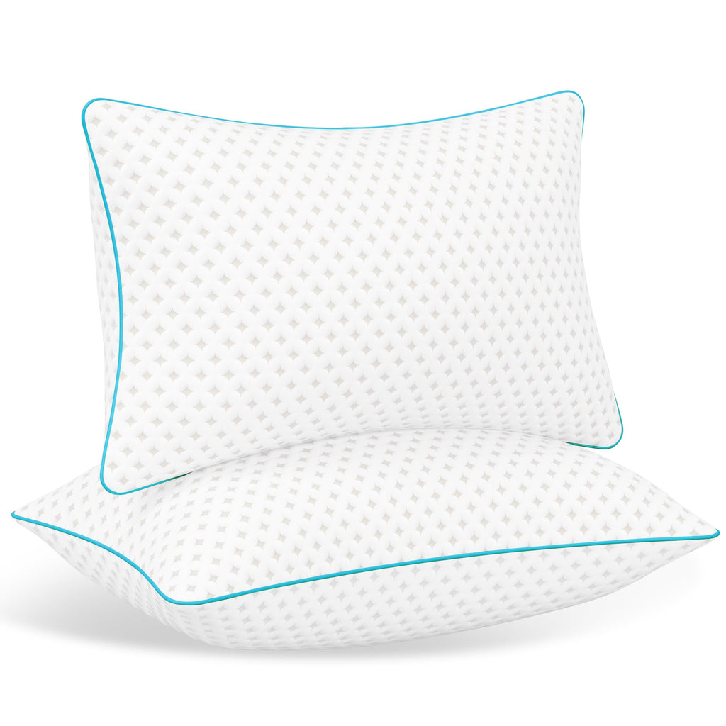 King Size Down Alternative Pillows Set of 2 B77707