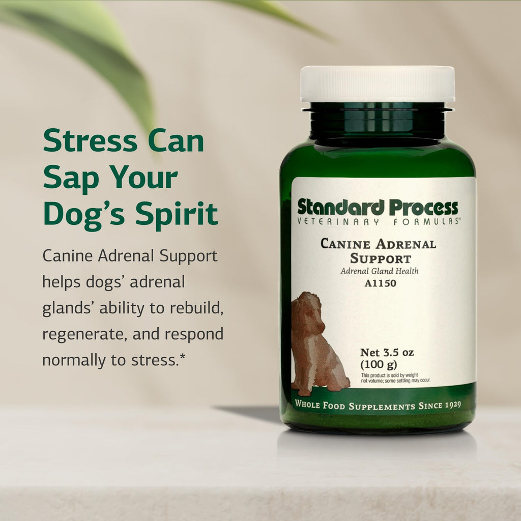 Canine Adrenal Support 100 g K482089