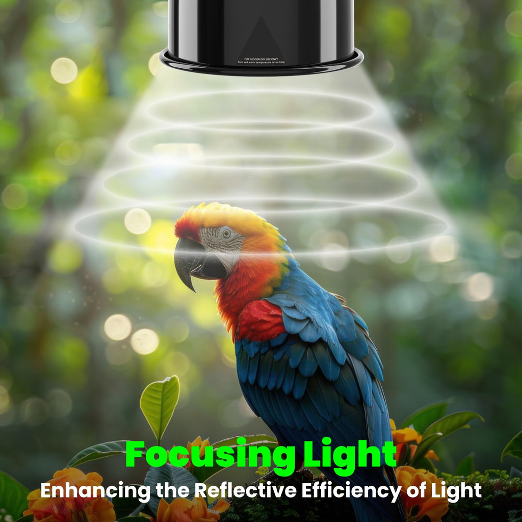 Deep Dome Lampshade with 2.4% UVB Bulb 20W G747816