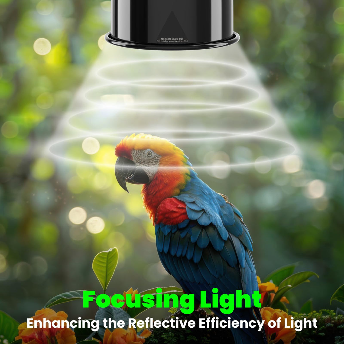 Deep Dome Lampshade with 2.4% UVB Bulb 20W G747816