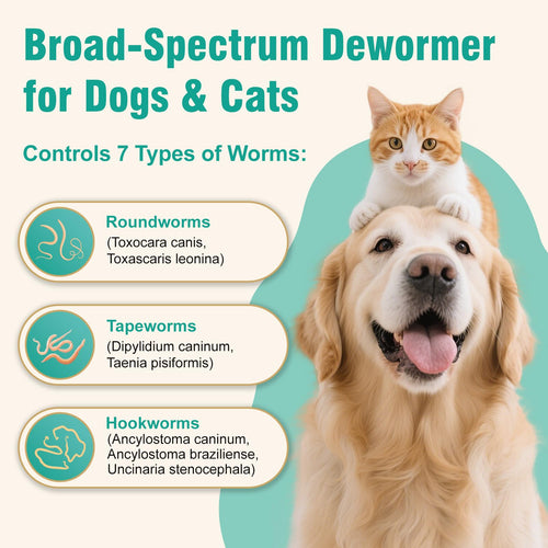3-Way Dewormer for Dogs & Cats with Praziquantel & Pyrantel Pamoate O923397