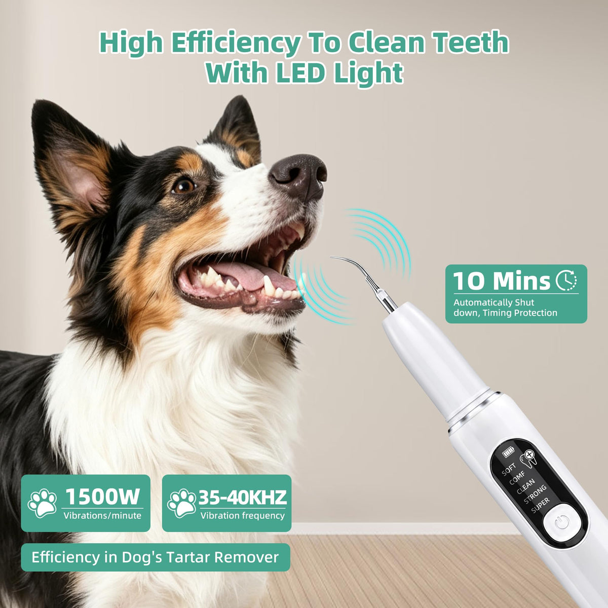 Ultrasonic Dog Teeth Cleaning Kit with LED Light H2773