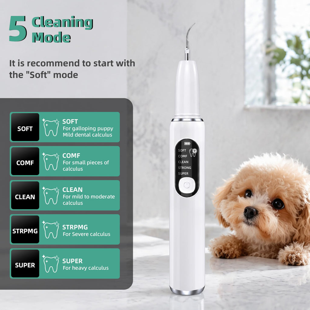Ultrasonic Dog Teeth Cleaning Kit with LED Light H2773