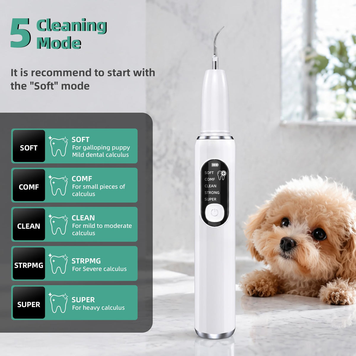 Ultrasonic Dog Teeth Cleaning Kit with LED Light H2773