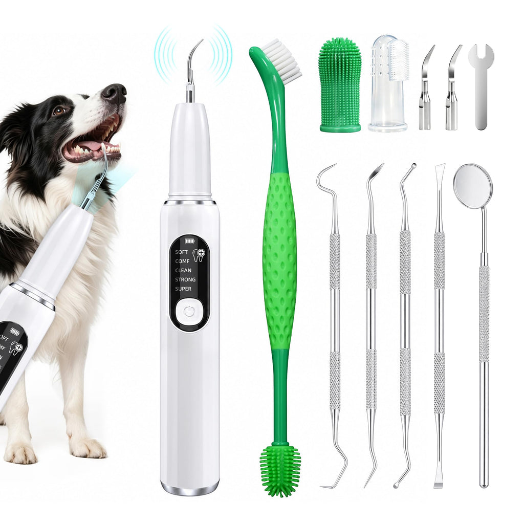 Ultrasonic Dog Teeth Cleaning Kit with LED Light H2773