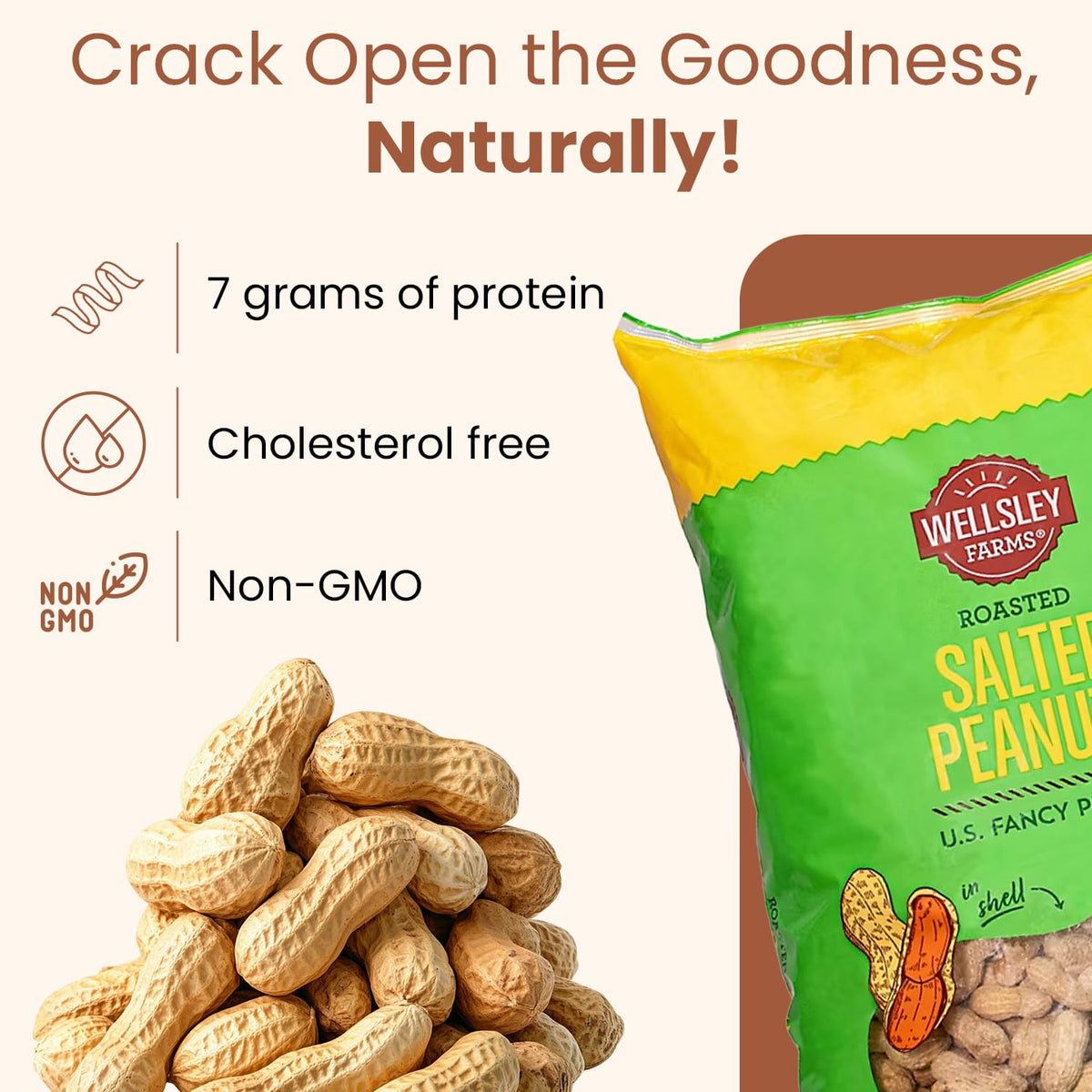 Salted Roasted Peanuts In Shell 5 lb Bag H301658