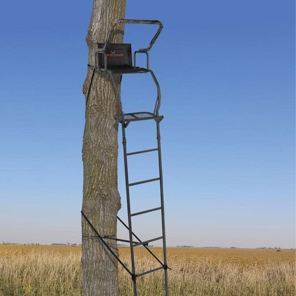 Ladder Tree Stand B642991