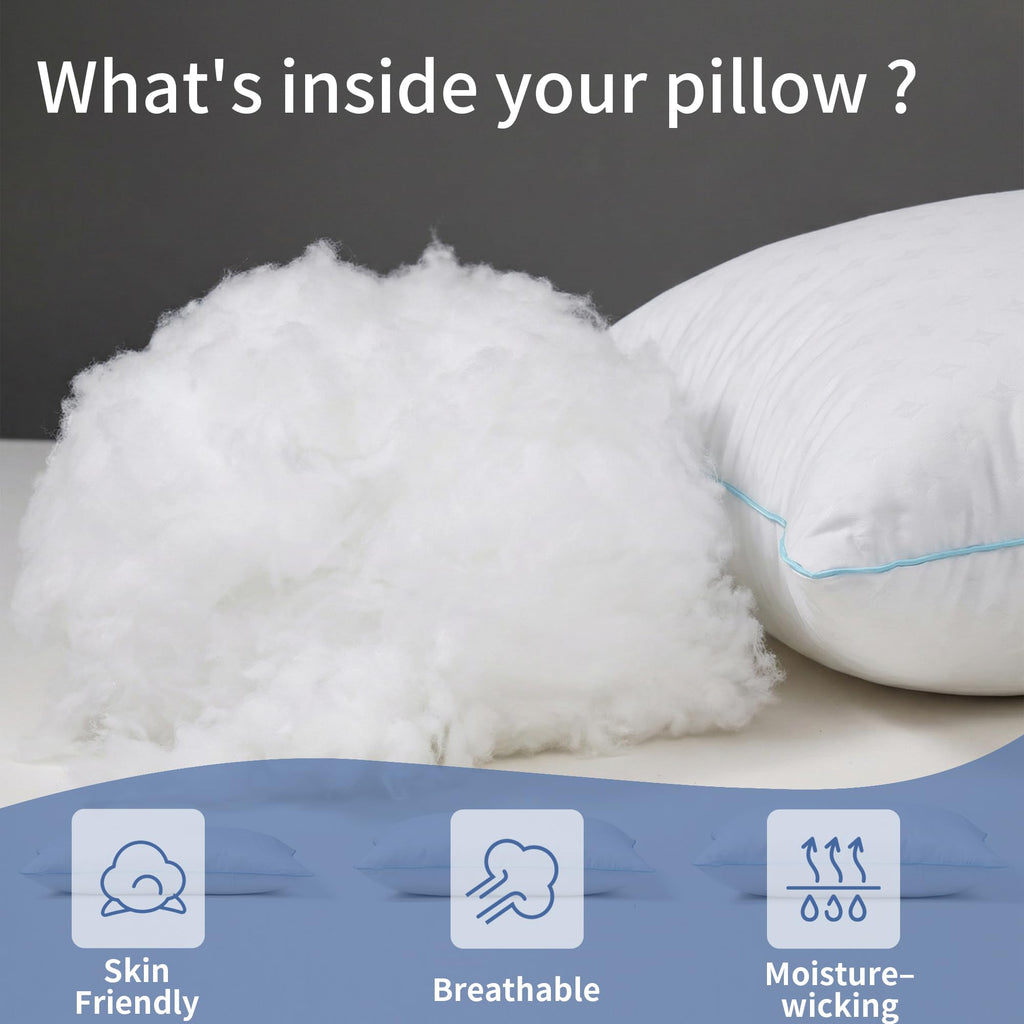 King Size Down Alternative Pillows Set of 2 B77707
