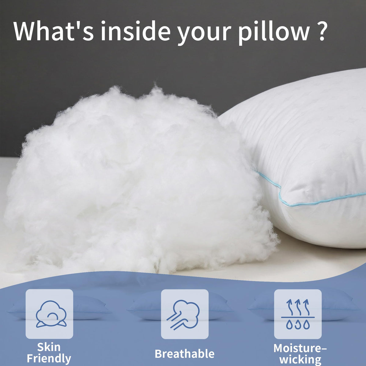 King Size Down Alternative Pillows Set of 2 B77707