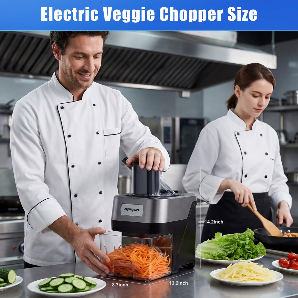 4 in 1 Electric Vegetable Cutter Dicer Slicer P170