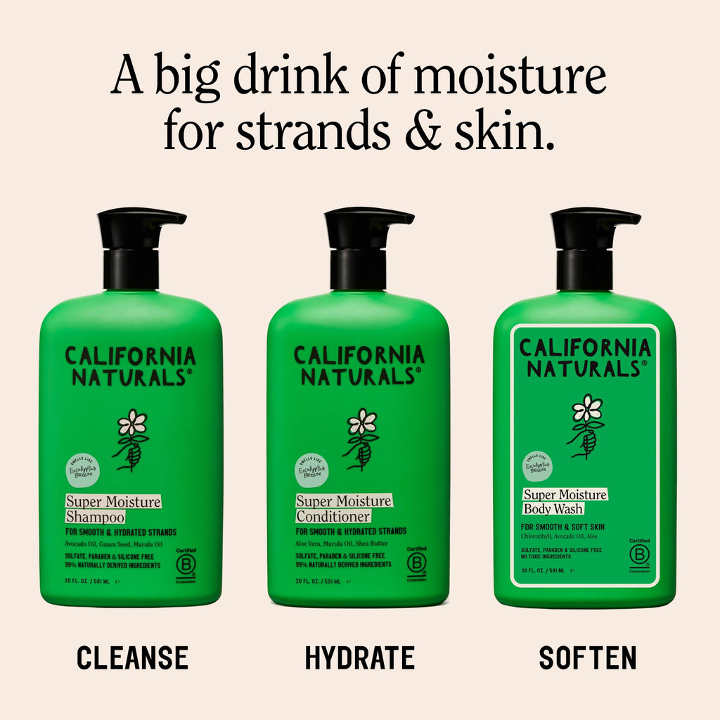 Eucalyptus Breeze Moisture Shampoo and Conditioner Set 20 fl oz R51671