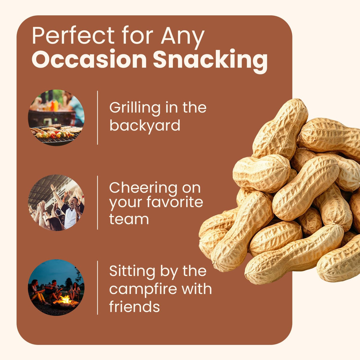 Salted Roasted Peanuts In Shell 5 lb Bag H301658