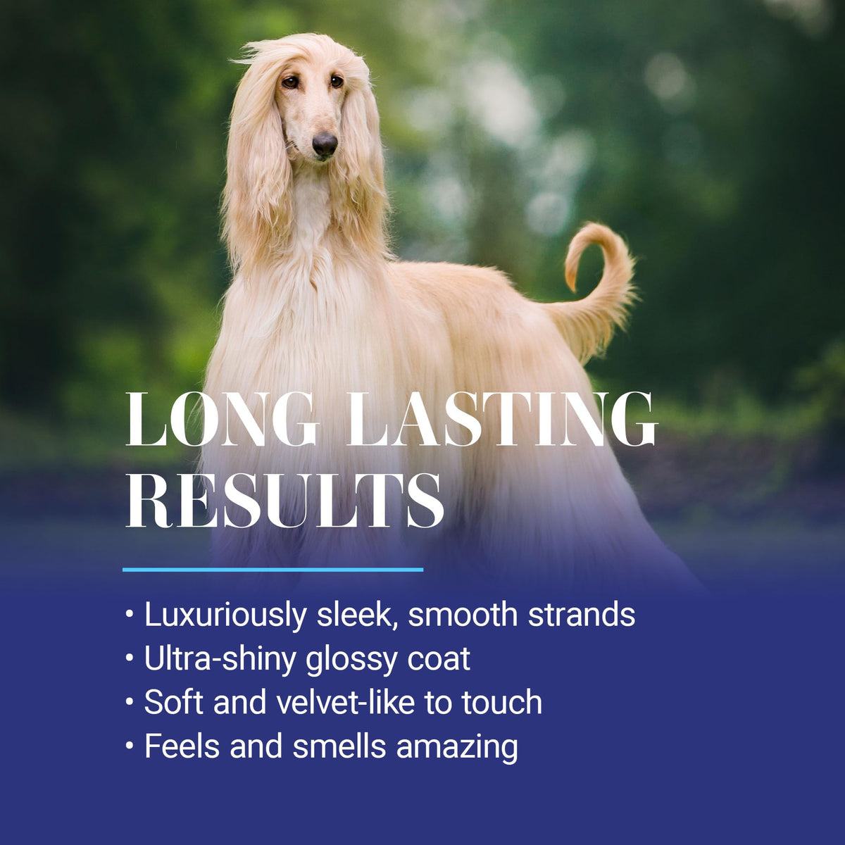 16oz Dog Conditioner D8509