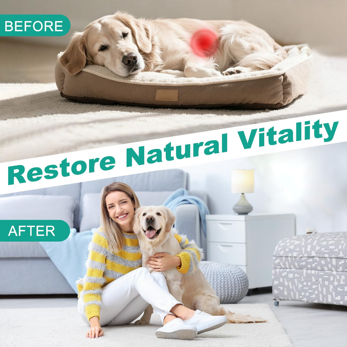 3-Way Dewormer for Dogs & Cats with Praziquantel & Pyrantel Pamoate O923397
