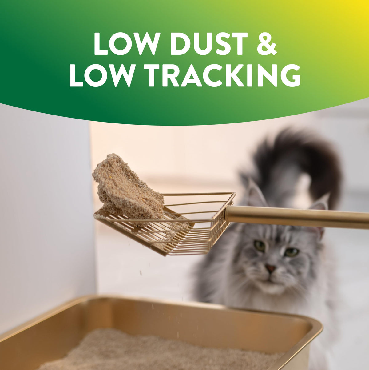 Plant-Based Clumping Cat Litter Unscented 15 Lbs P33337