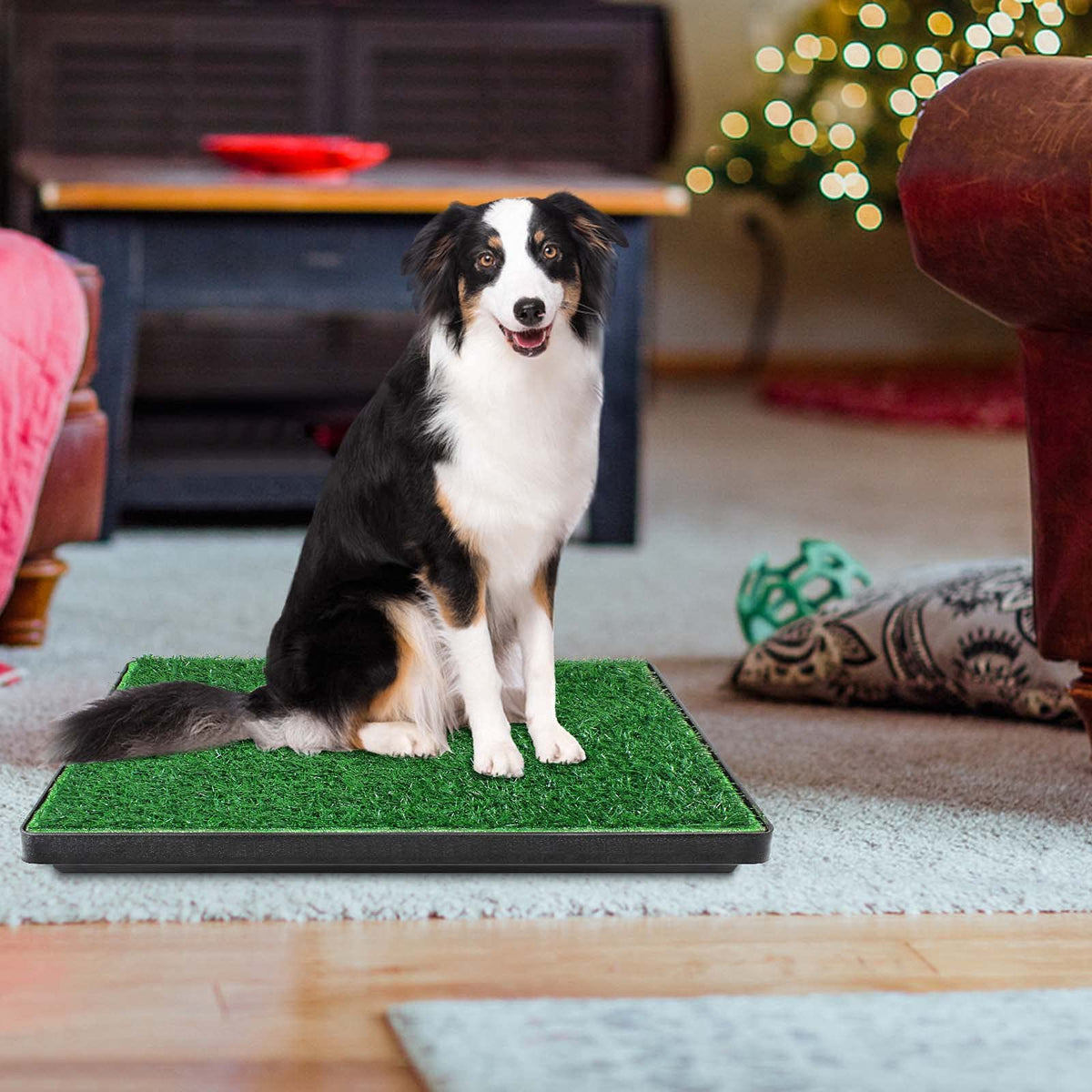 Large Dog Grass Pad with Tray and 2 Artificial Pee Grasses L5394