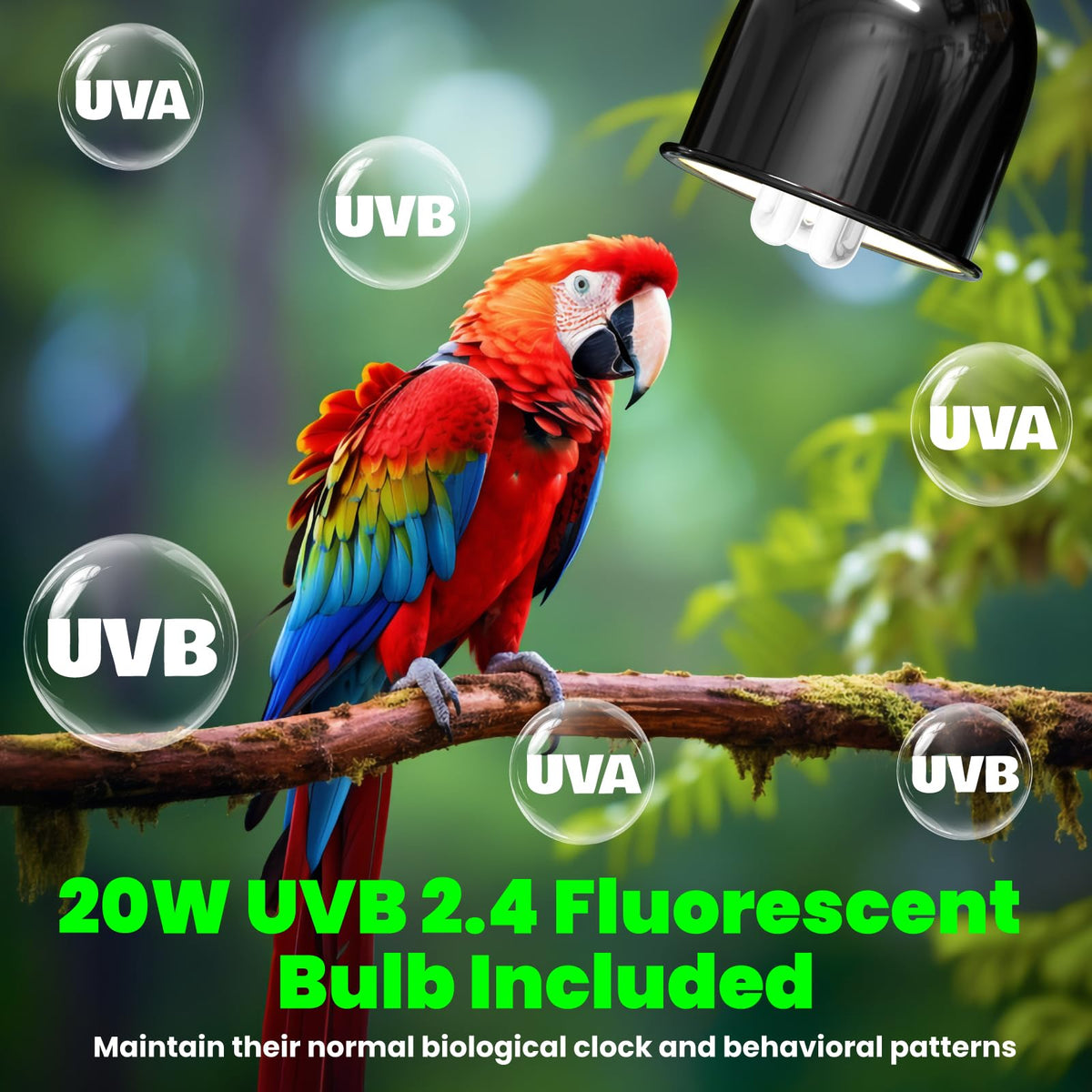 Deep Dome Lampshade with 2.4% UVB Bulb 20W G747816