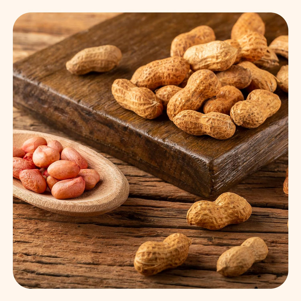 Salted Roasted Peanuts In Shell 5 lb Bag H301658
