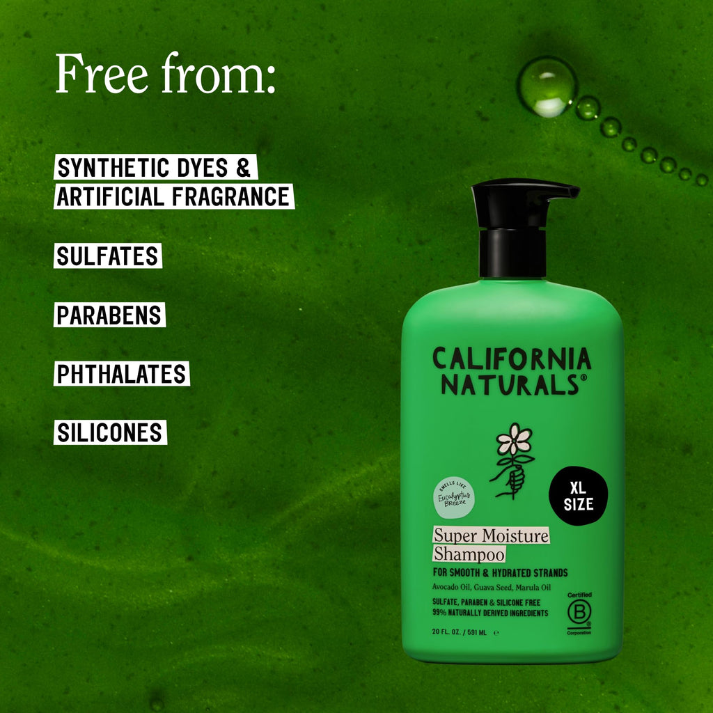 Eucalyptus Breeze Moisture Shampoo and Conditioner Set 20 fl oz R51671