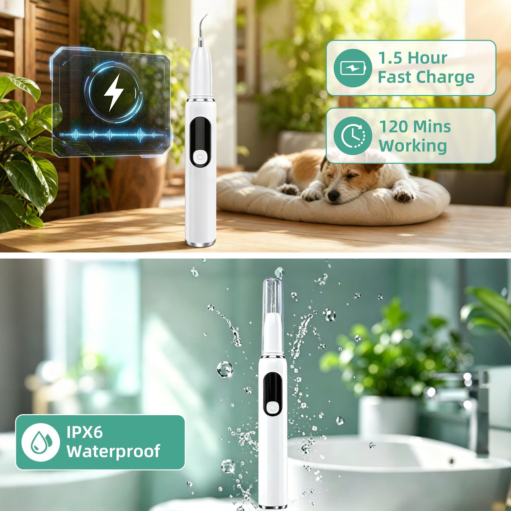 Ultrasonic Dog Teeth Cleaning Kit with LED Light H2773
