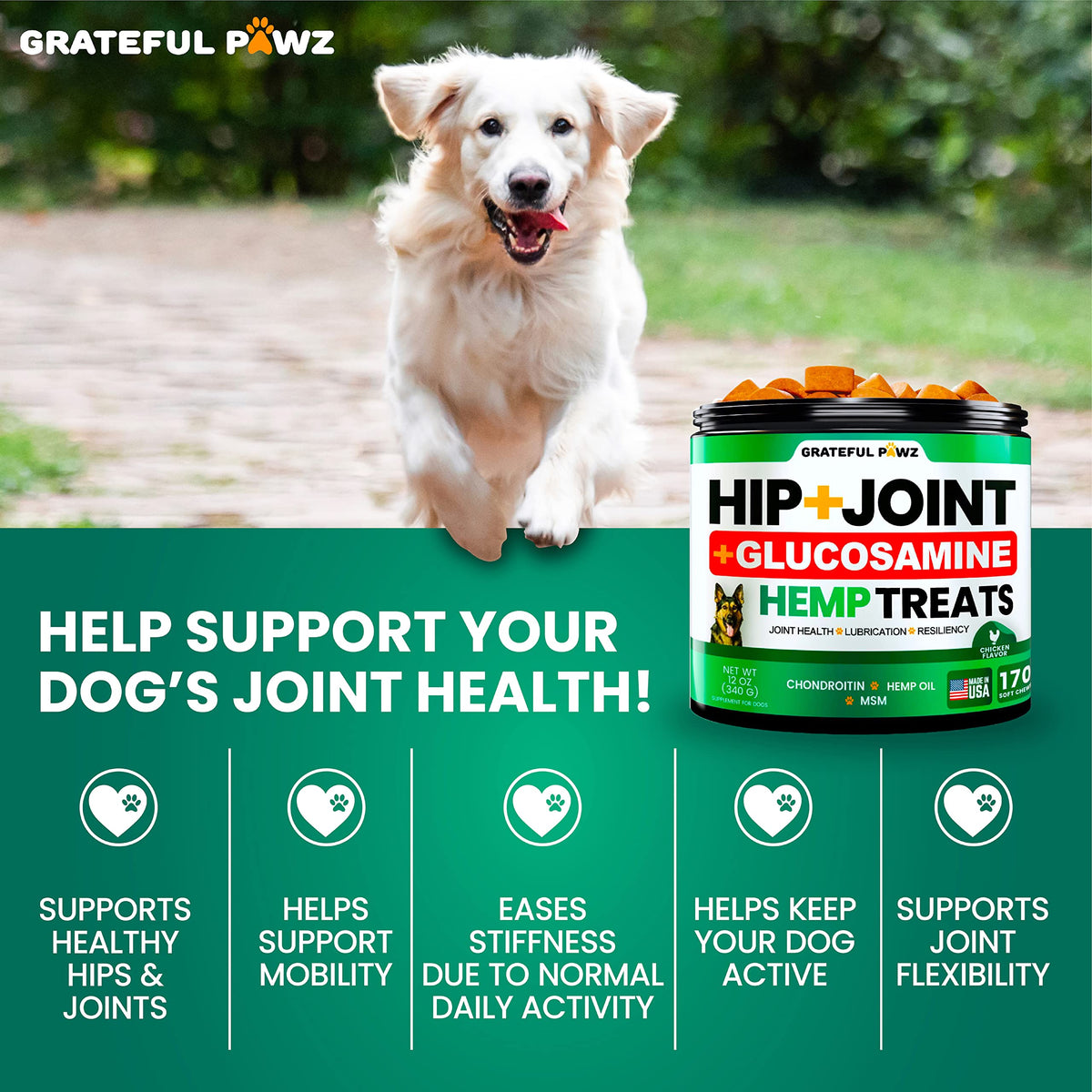 Hemp Hip and Joint Supplement for Dogs 170 Count S9334