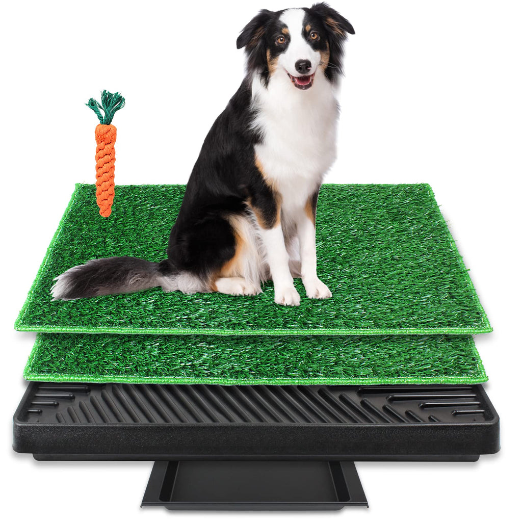 Large Dog Grass Pad with Tray and 2 Artificial Pee Grasses L5394
