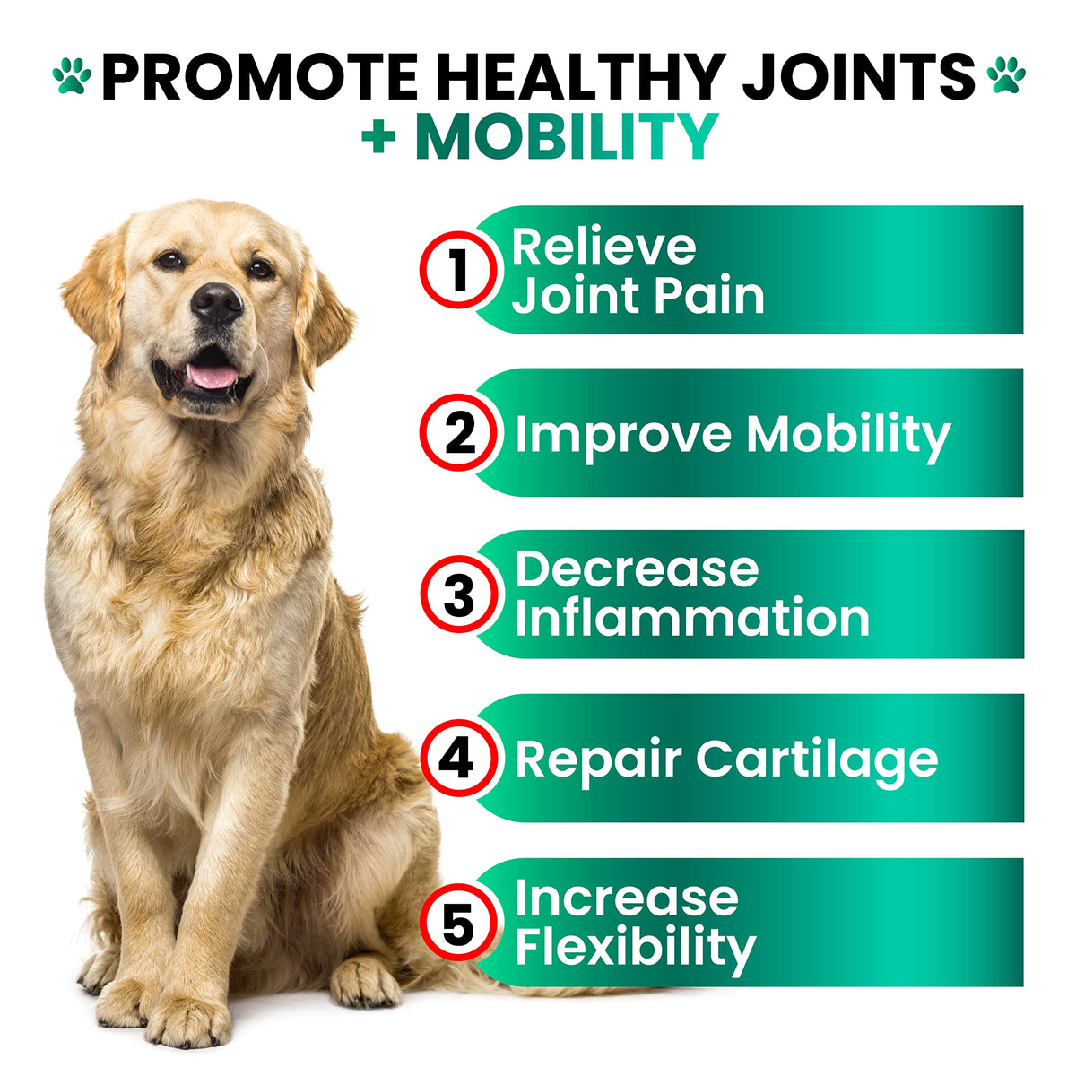 Hemp Hip and Joint Supplement for Dogs 170 Count S9334