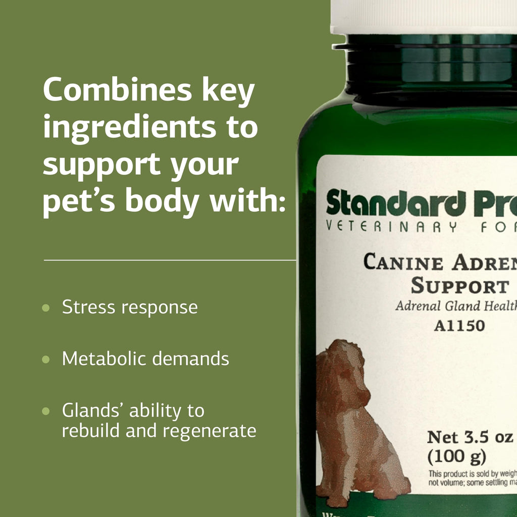 Canine Adrenal Support 100 g K482089