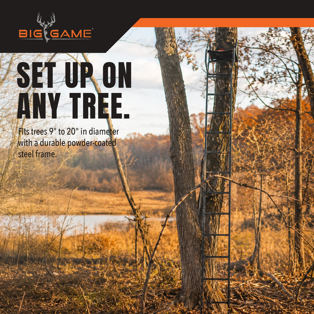 Ladder Tree Stand B642991