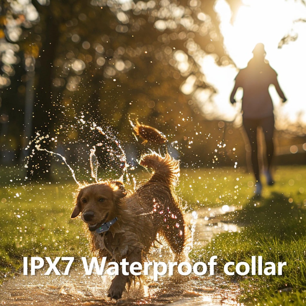 Wireless Dog Fence and Remote Training Collar, IPX7 Waterproof, 185 Days Rechargeable Battery C64739