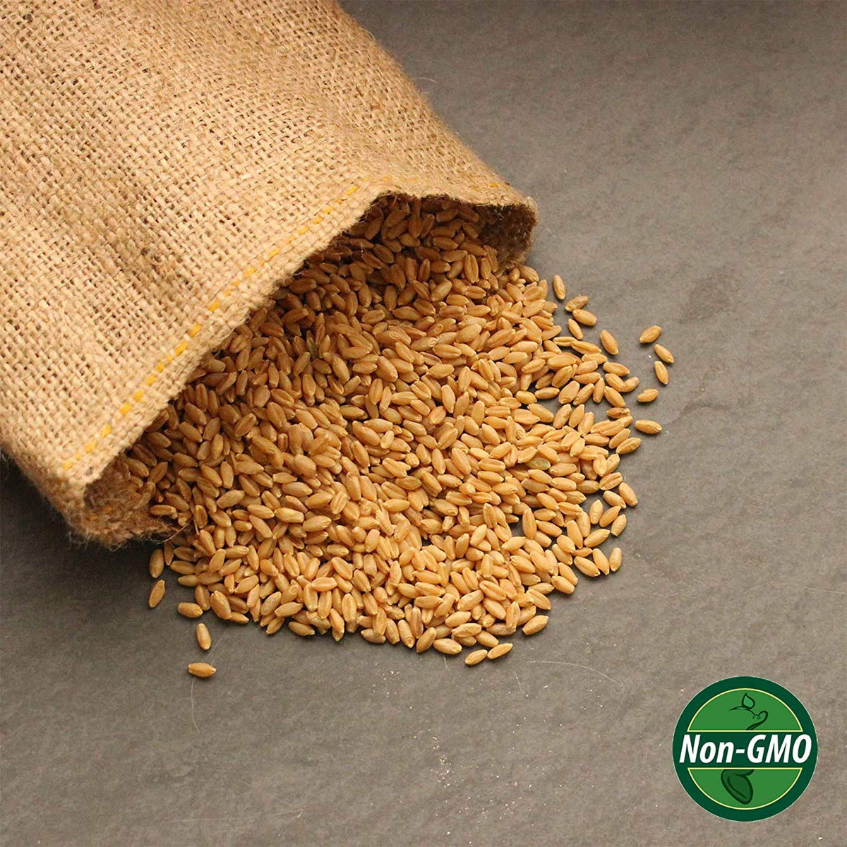 Organic Whole Wheat Kernels 5 Lb J155833