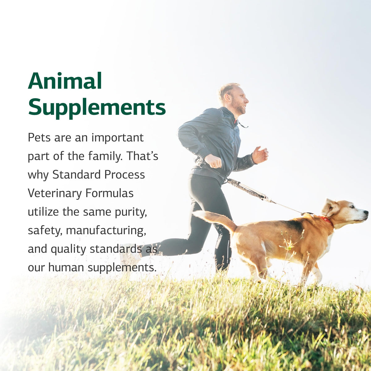 Canine Adrenal Support 100 g K482089