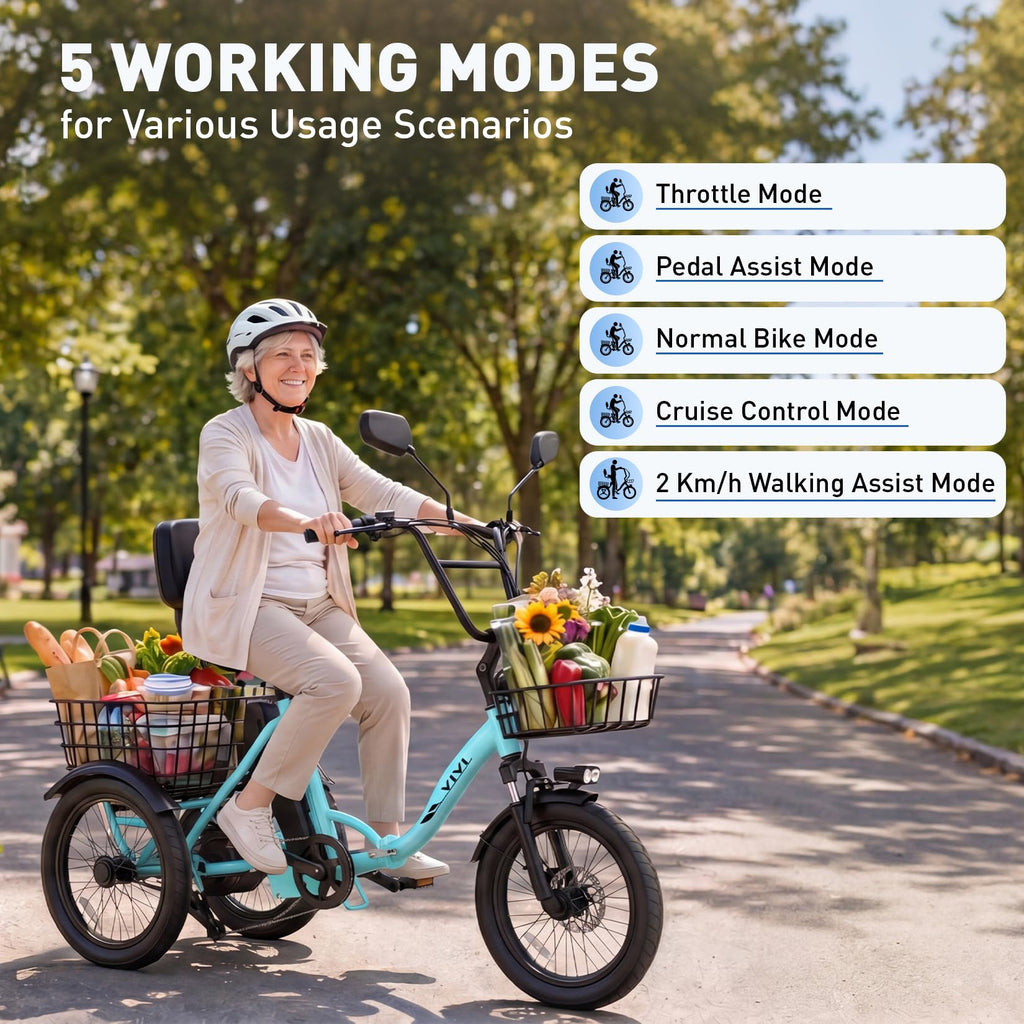 Folding Electric Tricycle 1000W 48V 18" Tire S2500