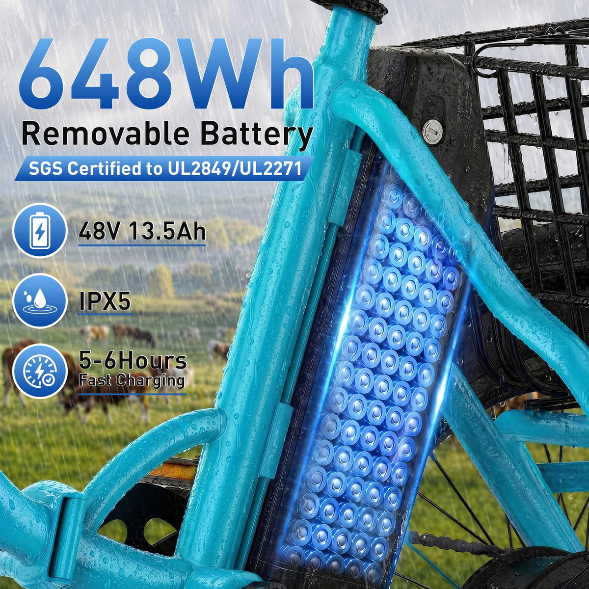 Folding Electric Tricycle 1000W 48V 18" Tire S2500