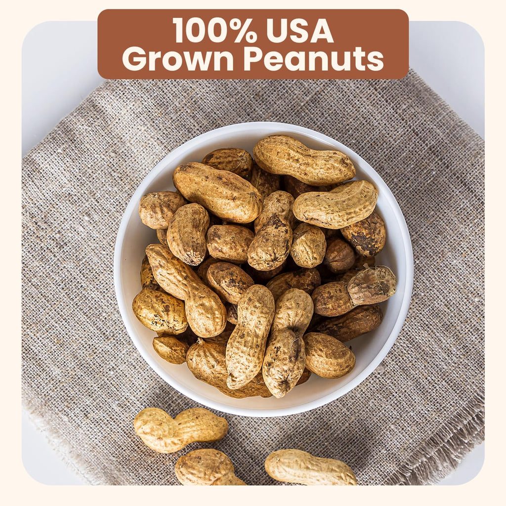 Salted Roasted Peanuts In Shell 5 lb Bag H301658