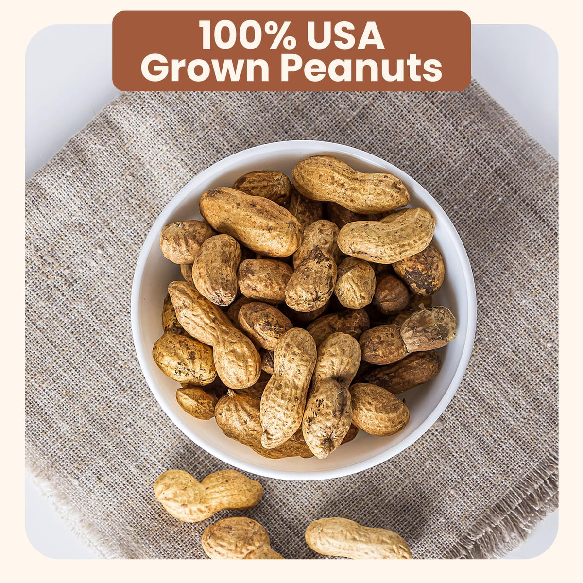 Salted Roasted Peanuts In Shell 5 lb Bag H301658