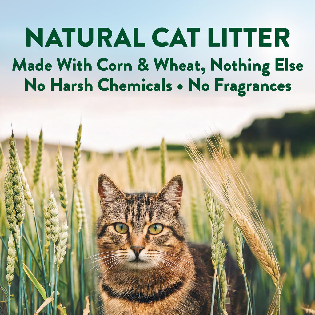 Plant-Based Clumping Cat Litter Unscented 15 Lbs P33337