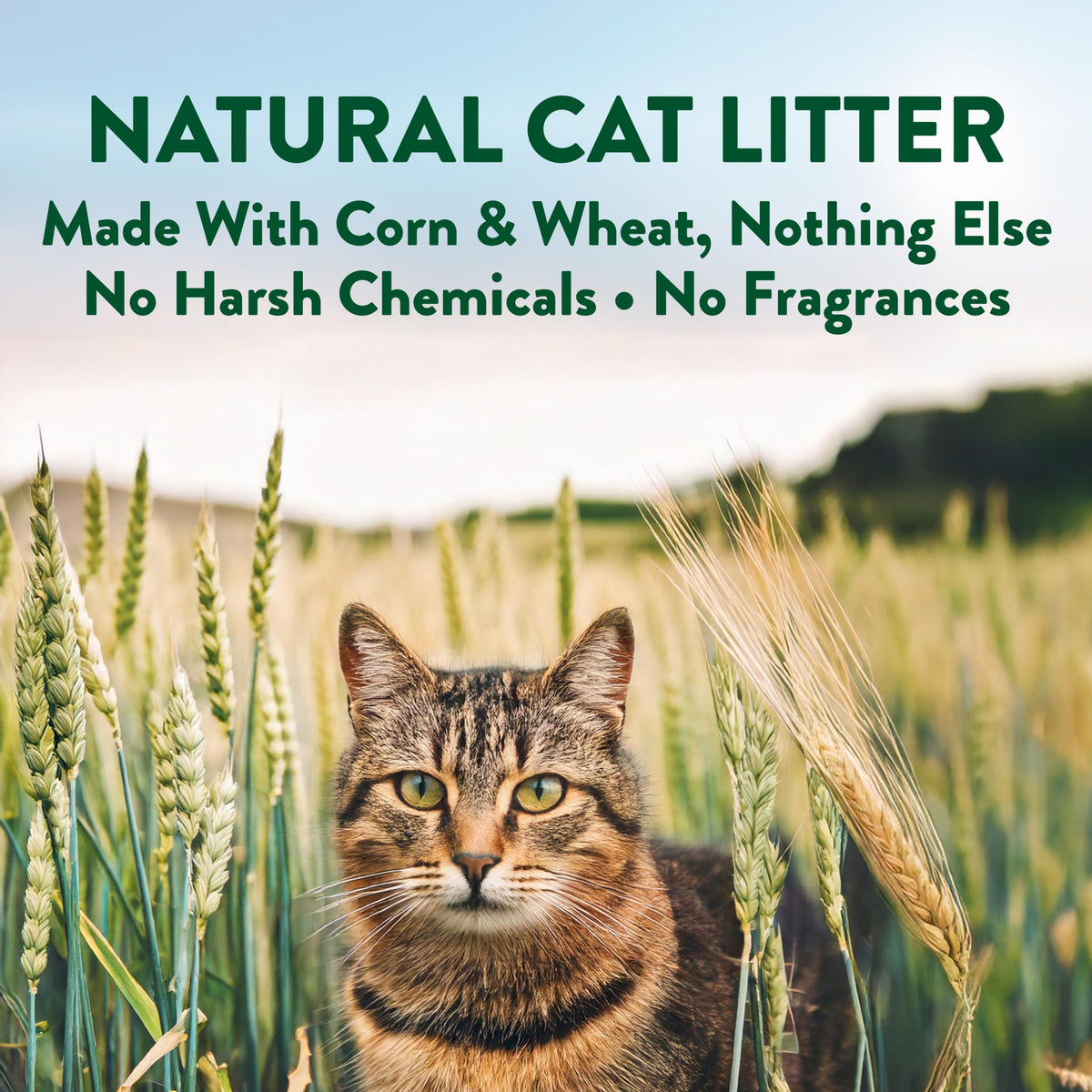 Plant-Based Clumping Cat Litter Unscented 15 Lbs P33337